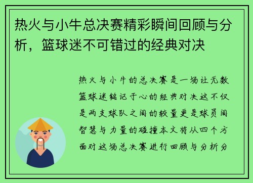 热火与小牛总决赛精彩瞬间回顾与分析，篮球迷不可错过的经典对决