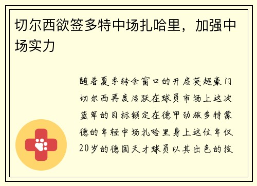 切尔西欲签多特中场扎哈里，加强中场实力